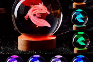 3D Laserem Gravírovaná Křišťálová Koule